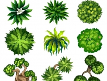 可以凈化室內空氣的植物，這二十種您需要好好了解一下！