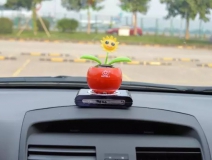 新車除醛，車內(nèi)除甲醛什么辦法最好？