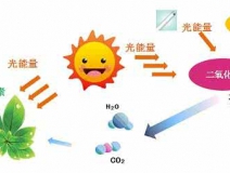 家中甲醛超標，什么才是甲醛治理的正確姿勢？