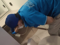 地毯也會引起甲醛超標嗎？